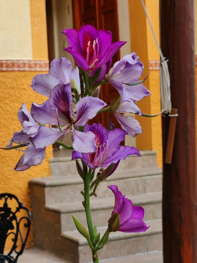 Casita Privada Del Chan Guanajuato Ngoại thất bức ảnh